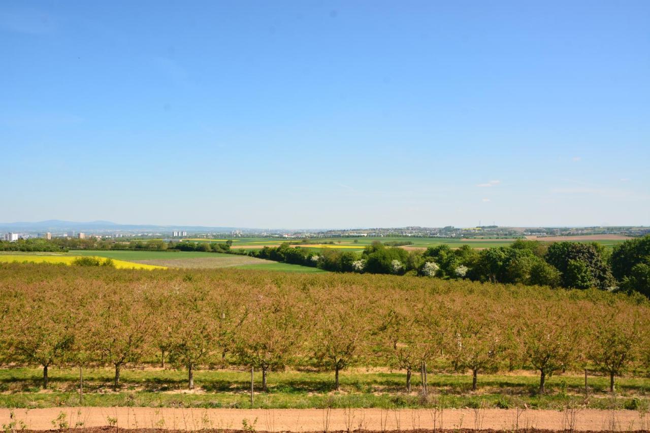 Weingut Bugner Meizelhof Klein-Winternheim Luaran gambar