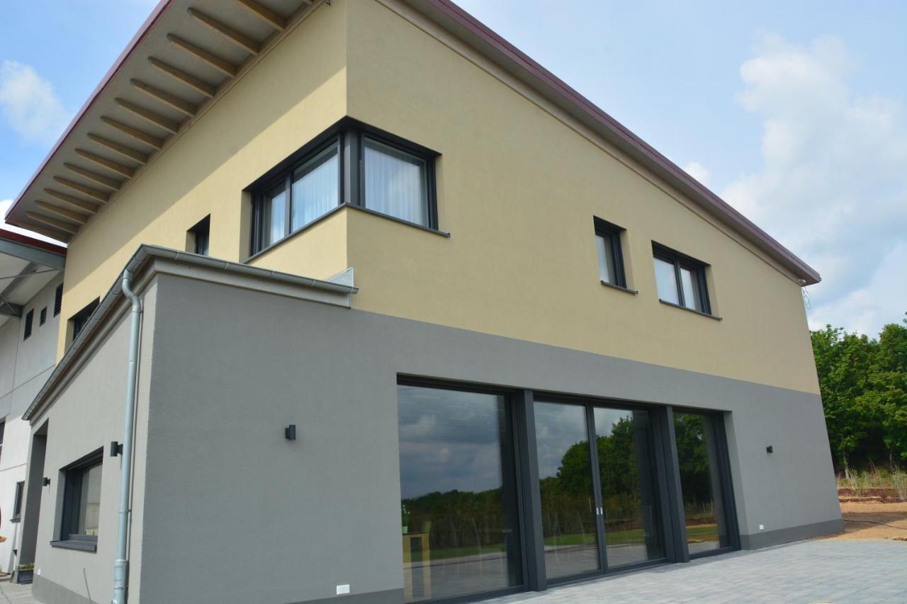 Weingut Bugner Meizelhof Klein-Winternheim Luaran gambar