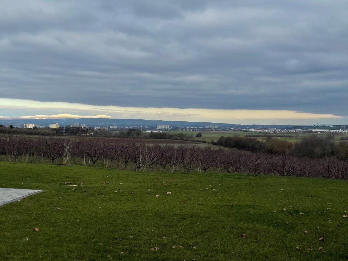 Weingut Bugner Meizelhof Klein-Winternheim Luaran gambar